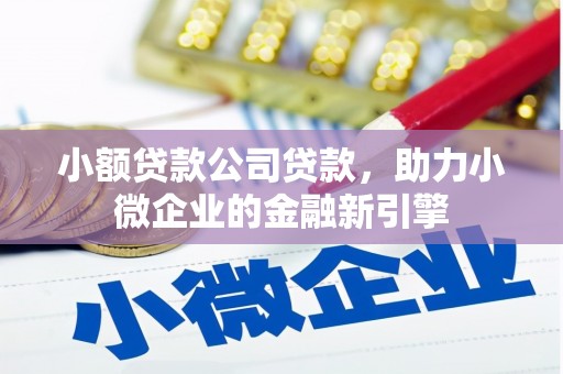 里港小额贷款公司贷款，助力小微企业的金融新引擎