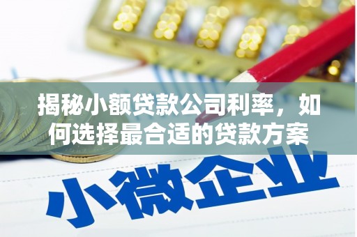里港揭秘小额贷款公司利率，如何选择最合适的贷款方案