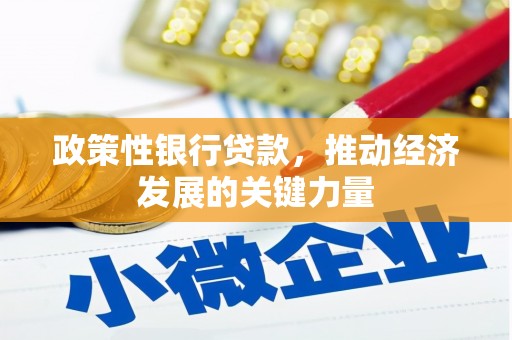 里港政策性银行贷款，推动经济发展的关键力量