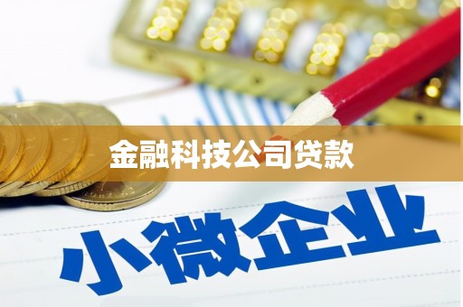 里港金融科技公司贷款