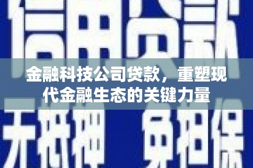 里港金融科技公司贷款，重塑现代金融生态的关键力量
