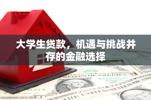 里港大学生贷款，机遇与挑战并存的金融选择