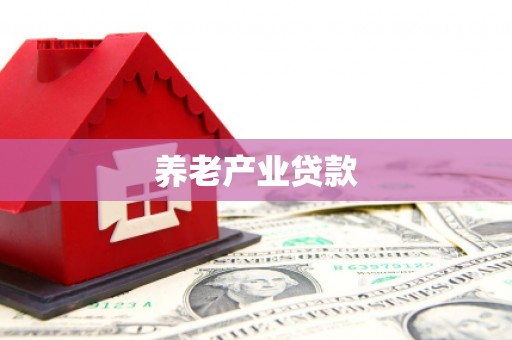 里港养老产业贷款