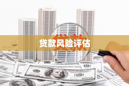里港贷款风险评估