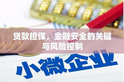 里港贷款担保，金融安全的关键与风险控制