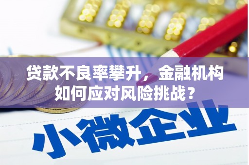 里港贷款不良率攀升，金融机构如何应对风险挑战？