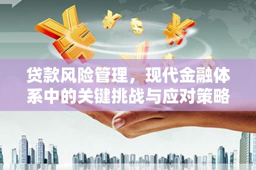 里港贷款风险管理，现代金融体系中的关键挑战与应对策略