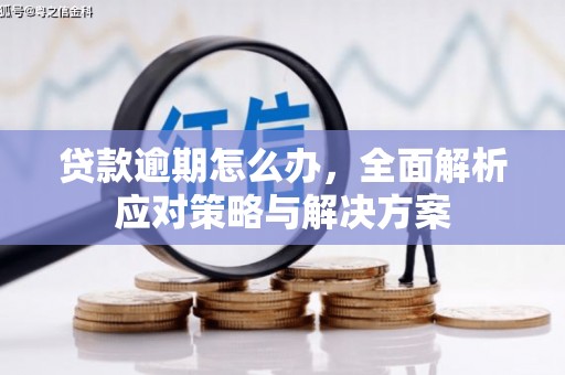 里港贷款逾期怎么办，全面解析应对策略与解决方案