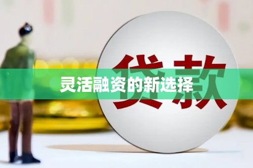 里港灵活融资的新选择