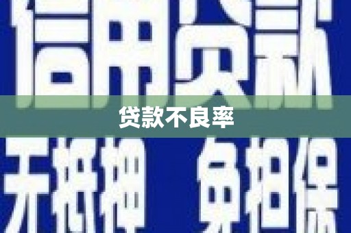 里港贷款不良率