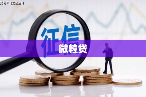 里港微粒贷