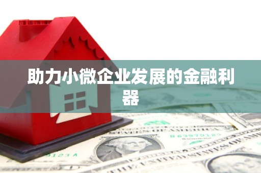 里港助力小微企业发展的金融利器