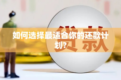 里港如何选择最适合你的还款计划？